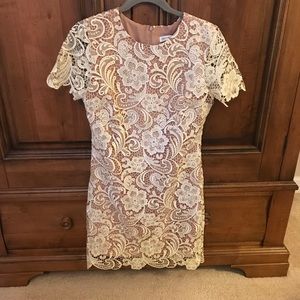 Dress the Population Lace Dress